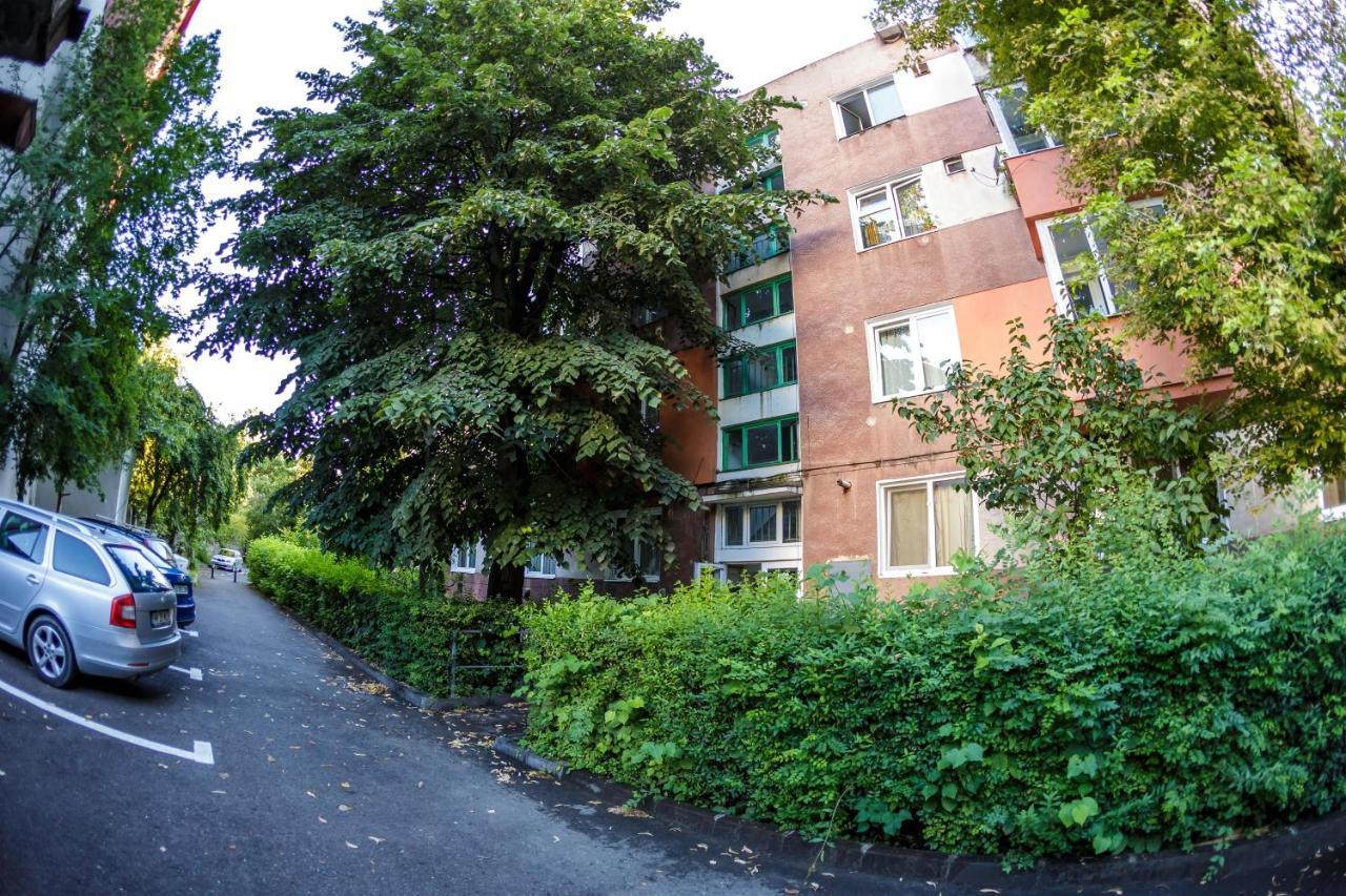 Apartament Family Rivulus 8 Бая-Маре Экстерьер фото